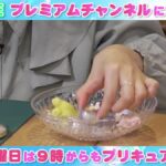 プリキュアわくわくチャンネル_20210508